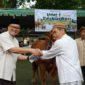 Ilustrasi Hikmah sosial Idhul Adha ( Poto : istimewa )