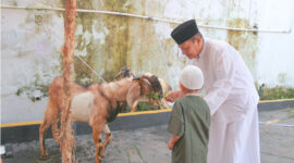 Seorang Muslim bersiap untuk melaksanakan ibadah kurban ( Poto : Bank Mega Syariah ).
