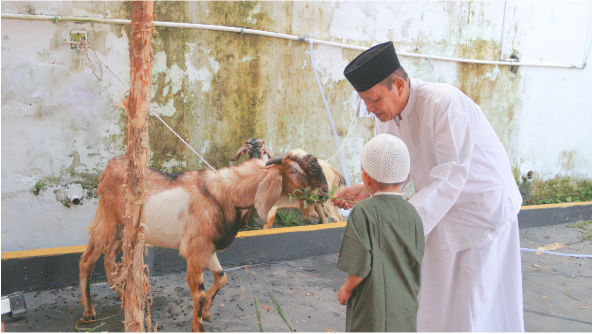 Seorang Muslim bersiap untuk melaksanakan ibadah kurban ( Poto : Bank Mega Syariah ).