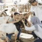 ilustrasi pasang suami isteri memilih kambing untuk qurban ( Poto : muidigital ).