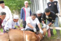 Hukum menyembelih hewan halal dalam Islam menjelaskan tata cara penyembelihan sesuai syariat, termasuk hukum memutus urat dan kepala hewan.( Poto : istimewa ).