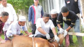 Hukum menyembelih hewan halal dalam Islam menjelaskan tata cara penyembelihan sesuai syariat, termasuk hukum memutus urat dan kepala hewan.( Poto : istimewa ).