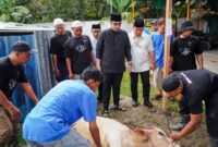 Ilustrasi seorang pekurban menyaksikan penyembelihan kurbannya saat Idul Adha.( Poto : istimewa ).