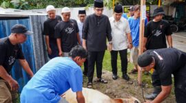 Ilustrasi seorang pekurban menyaksikan penyembelihan kurbannya saat Idul Adha.( Poto : istimewa ).