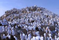 Jamaah Haji sedang Wukuf di Arafah ( Poto : REPUBLIKA )