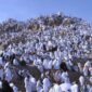 Jamaah Haji sedang Wukuf di Arafah ( Poto : REPUBLIKA )