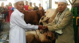 Pembahasan lengkap larangan orang berkurban dalam Islam berdasarkan Al-Qur’an, hadis, dan penjelasan ulama klasik yang wajib diketahui shohibul kurban.( Poto : BincangSyariah ).