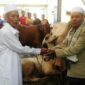 Pembahasan lengkap larangan orang berkurban dalam Islam berdasarkan Al-Qur’an, hadis, dan penjelasan ulama klasik yang wajib diketahui shohibul kurban.( Poto : BincangSyariah ).