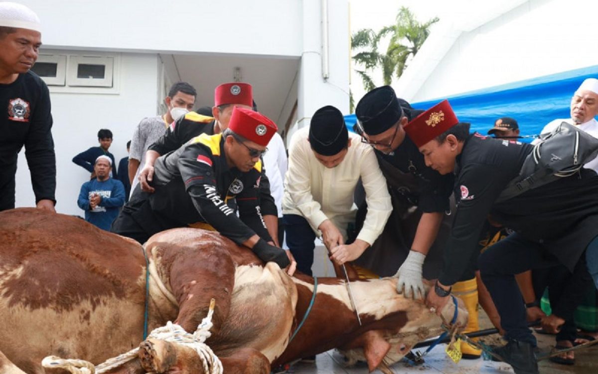 Panitia Kurban sedang melakukan penyembelihan hewan kurban milik Jokowi Dodo .( Poto : detikcom ).