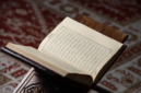 Kontroversi tafsir kata Rabb dalam ceramah viral ini menunjukkan kembali pentingnya otoritas ilmiah dalam memahami Al-Qur’an.( poto : istimewa )