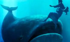 Kisah Nabi Yunus di Perut Ikan dan Doa Penghapus Kesedihan