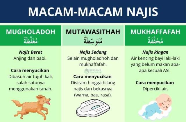 Penjelasan lengkap macam najis dalam Islam, jenis, dalil, dan cara menyucikannya.( poto : bersama dakwah )
