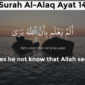 Tafsir Al-Qur’an, QS Al-Alaq ayat 14.( poto : my islam )
