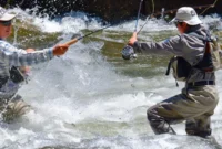 Hukum Lomba Mancing Berbayar di Kolam.( poto : nu online)
