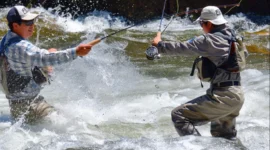 Hukum Lomba Mancing Berbayar di Kolam.( poto : nu online)