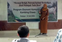 Program Ekonomis Komunitas Kambing Etawa yang dilaksanakan di Padayo Goat Farm, Kelurahan Indarung, Kecamatan Lubuk Kilangan, Kota Padang.( poto : padangkita.com).