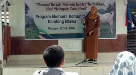 Program Ekonomis Komunitas Kambing Etawa yang dilaksanakan di Padayo Goat Farm, Kelurahan Indarung, Kecamatan Lubuk Kilangan, Kota Padang.( poto : padangkita.com).