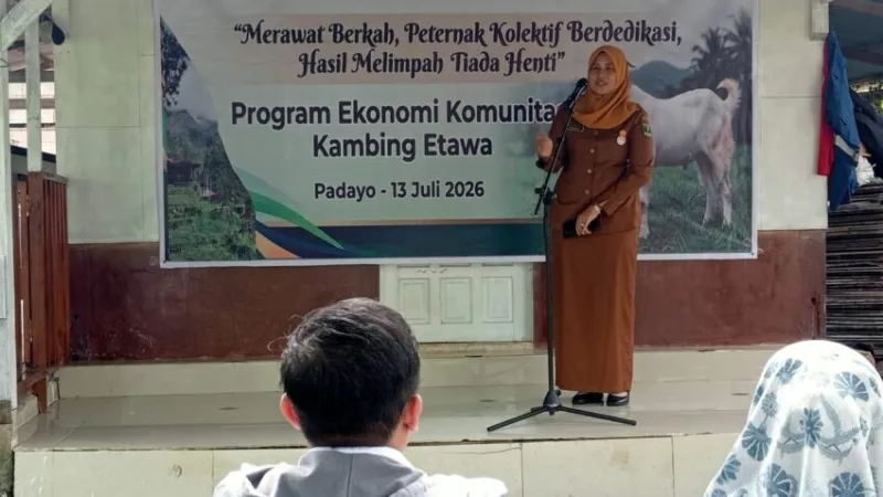 Program Ekonomis Komunitas Kambing Etawa yang dilaksanakan di Padayo Goat Farm, Kelurahan Indarung, Kecamatan Lubuk Kilangan, Kota Padang.( poto : padangkita.com).