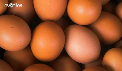 Mazhab Syafi'i menjelaskan hukum mencuci telur sebelum memasak serta alasan kebersihan dan kesehatan yang menyertainya.