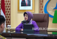 Kepala BPS Amalia Adininggar Widyasanti.(poto: republika).